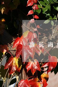 擅长离婚房产律师委托收费 擅长离婚房产律师委托收费