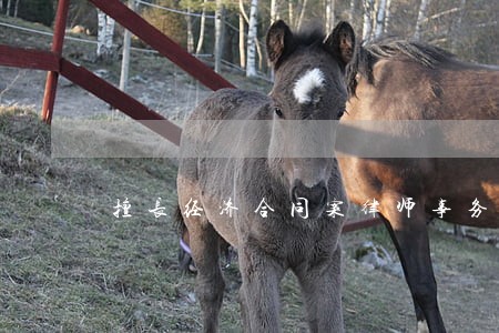 擅长经济合同案律师事务所 擅长经济合同案律师事务所