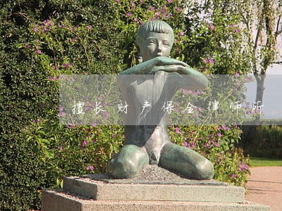 擅长财产保全律师所