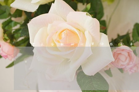 擅长贷款纠纷律师服务平台 擅长贷款纠纷律师服务平台