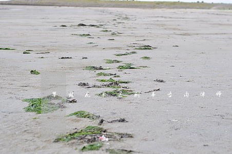 攀枝花东区刑事咨询律师团队 攀枝花东区刑事咨询律师团队