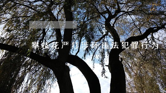 攀枝花严打涉环违法犯罪行为 攀枝花严打涉环违法犯罪行为