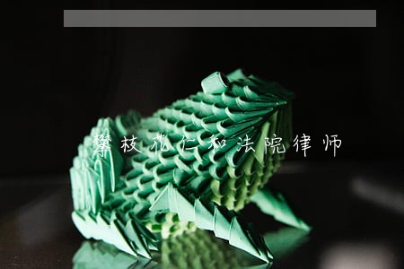 攀枝花仁和法院律师