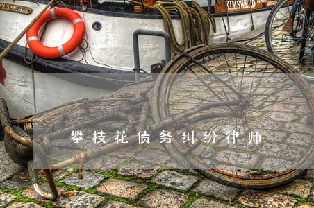 攀枝花债务纠纷律师 攀枝花债务纠纷律师
