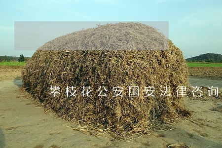 攀枝花公安国安法律咨询热线 攀枝花公安国安法律咨询热线