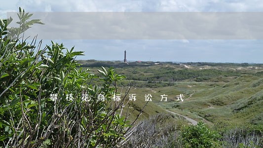 攀枝花商标诉讼方式