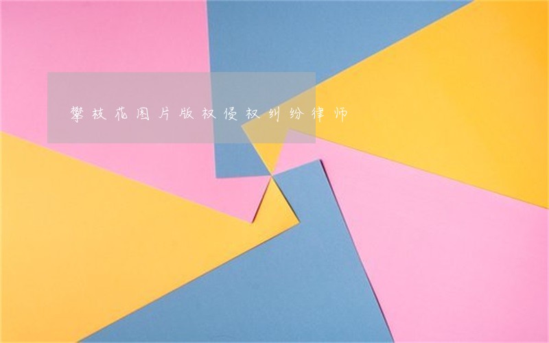 攀枝花图片版权侵权纠纷律师