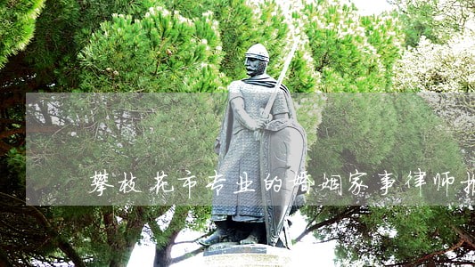 攀枝花市专业的婚姻家事律师推荐 攀枝花市专业的婚姻家事律师推荐