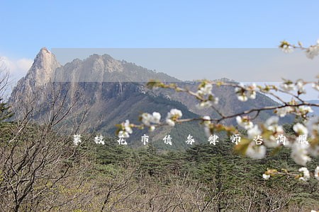 攀枝花市债务律师咨询服务 攀枝花市债务律师咨询服务