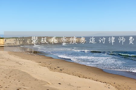 攀枝花市债务追讨律师费怎么算 攀枝花市债务追讨律师费怎么算