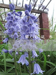 攀枝花市刑事大案律师多少钱 攀枝花市刑事大案律师多少钱