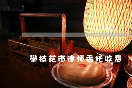 攀枝花市律师委托收费 攀枝花市律师委托收费