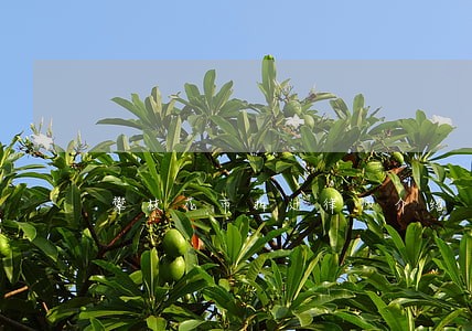 攀枝花市拆迁律师介绍