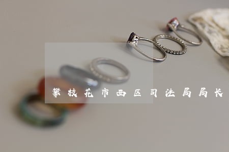 攀枝花市西区司法局局长付鸥 攀枝花市西区司法局局长付鸥