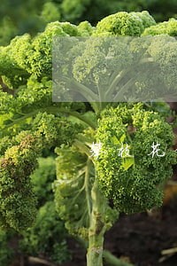 攀枝花律师咨询电话 攀枝花律师咨询电话