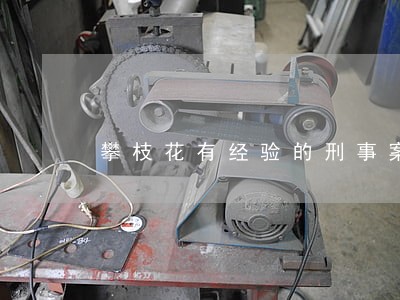 攀枝花有经验的刑事案件律师 攀枝花有经验的刑事案件律师