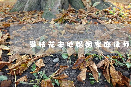 攀枝花本地婚姻家庭律师收费标准 攀枝花本地婚姻家庭律师收费标准