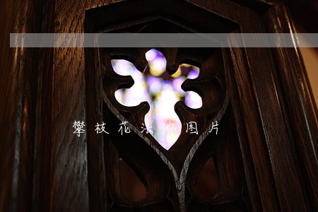 攀枝花法院图片 攀枝花法院图片