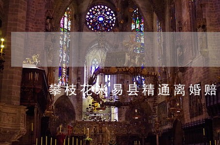 攀枝花米易县精通离婚赔偿律师