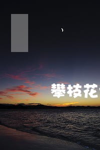 攀枝花请离婚房产律师电话 攀枝花请离婚房产律师电话