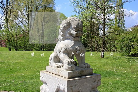 攀枝花遗产继承律师 攀枝花遗产继承律师