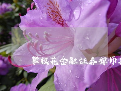 攀枝花金融证券律师在线免费咨询 攀枝花金融证券律师在线免费咨询