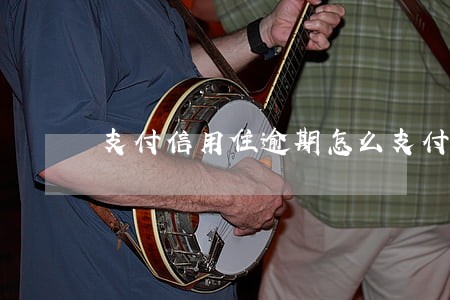 支付信用住逾期怎么支付 支付信用住逾期怎么支付