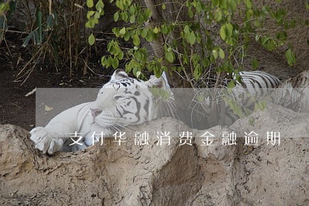 支付华融消费金融逾期 支付华融消费金融逾期