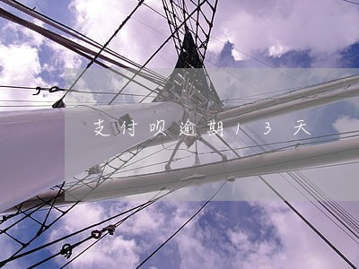 支付呗逾期13天 支付呗逾期13天