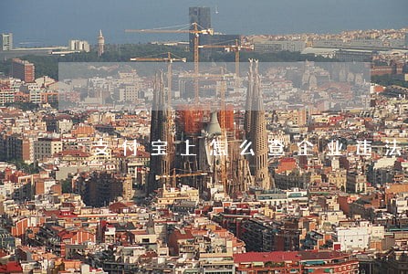 支付宝上怎么查企业违法吗 支付宝上怎么查企业违法吗