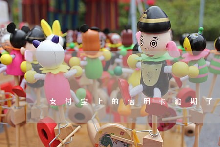 支付宝上的信用卡逾期了 支付宝上的信用卡逾期了