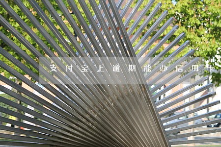 支付宝上逾期能办信用卡吗 支付宝上逾期能办信用卡吗