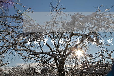 支付宝举报交通违法有奖怎么弄 支付宝举报交通违法有奖怎么弄
