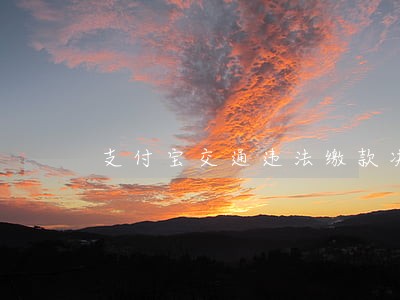 支付宝交通违法缴款决定书 支付宝交通违法缴款决定书