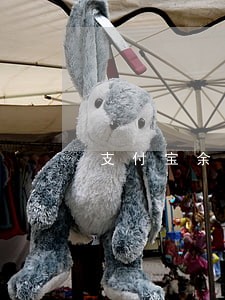 支付宝余额司法冻结10305 支付宝余额司法冻结10305