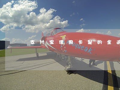 支付宝信用卡是的全逾期 支付宝信用卡是的全逾期