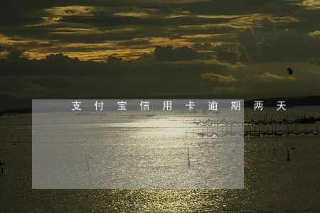 支付宝信用卡逾期两天 支付宝信用卡逾期两天