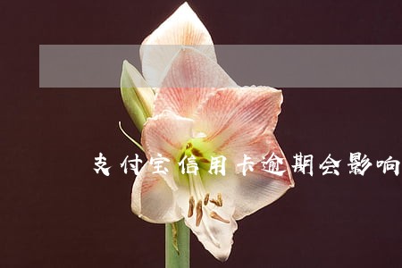 支付宝信用卡逾期会影响动车吗 支付宝信用卡逾期会影响动车吗