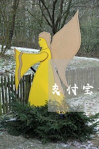 支付宝信用卡逾期半年了怎么办 支付宝信用卡逾期半年了怎么办