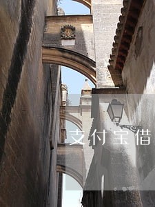 支付宝借呗网商贷逾期 支付宝借呗网商贷逾期