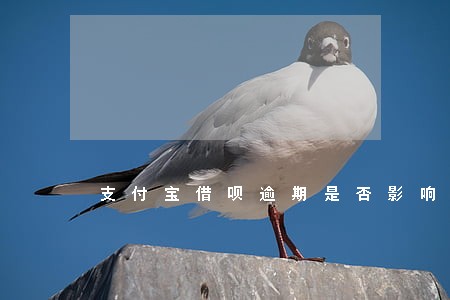 支付宝借呗逾期是否影响贷款 支付宝借呗逾期是否影响贷款