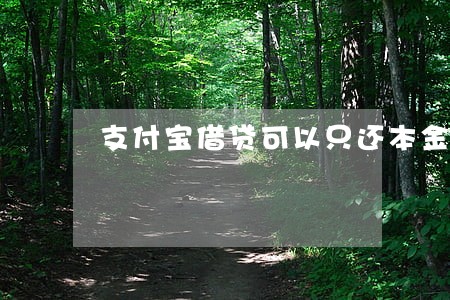 支付宝借贷可以只还本金吗 支付宝借贷可以只还本金吗