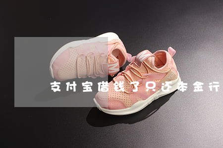 支付宝借钱了只还本金行吗 支付宝借钱了只还本金行吗