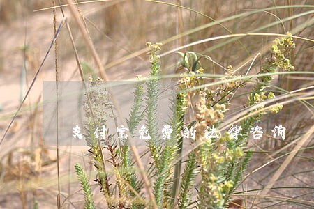 支付宝免费的法律咨询 支付宝免费的法律咨询
