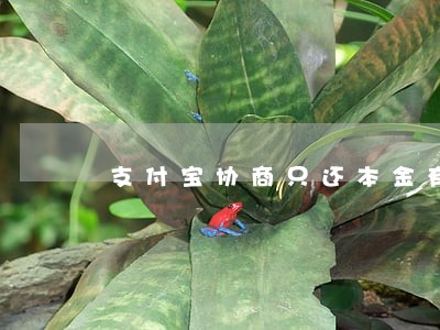 支付宝协商只还本金有成功的么 支付宝协商只还本金有成功的么
