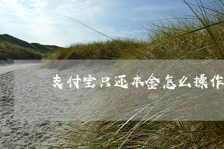 支付宝只还本金怎么操作 支付宝只还本金怎么操作