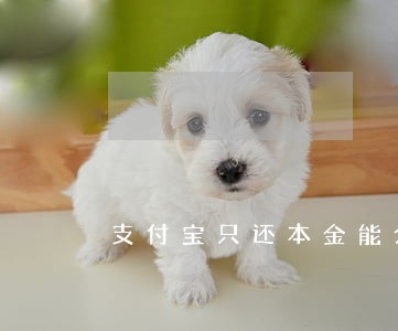 支付宝只还本金能分期吗