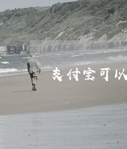 支付宝可以只还本金么 支付宝可以只还本金么