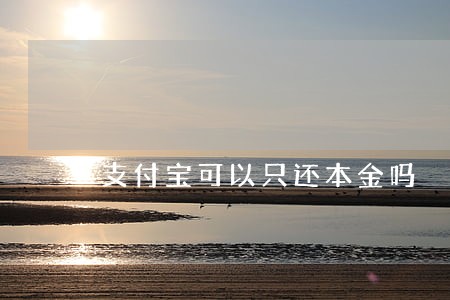 支付宝可以只还本金吗 支付宝可以只还本金吗