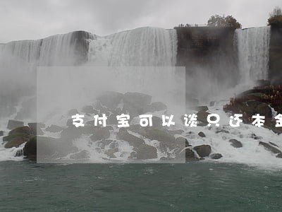 支付宝可以谈只还本金吗 支付宝可以谈只还本金吗